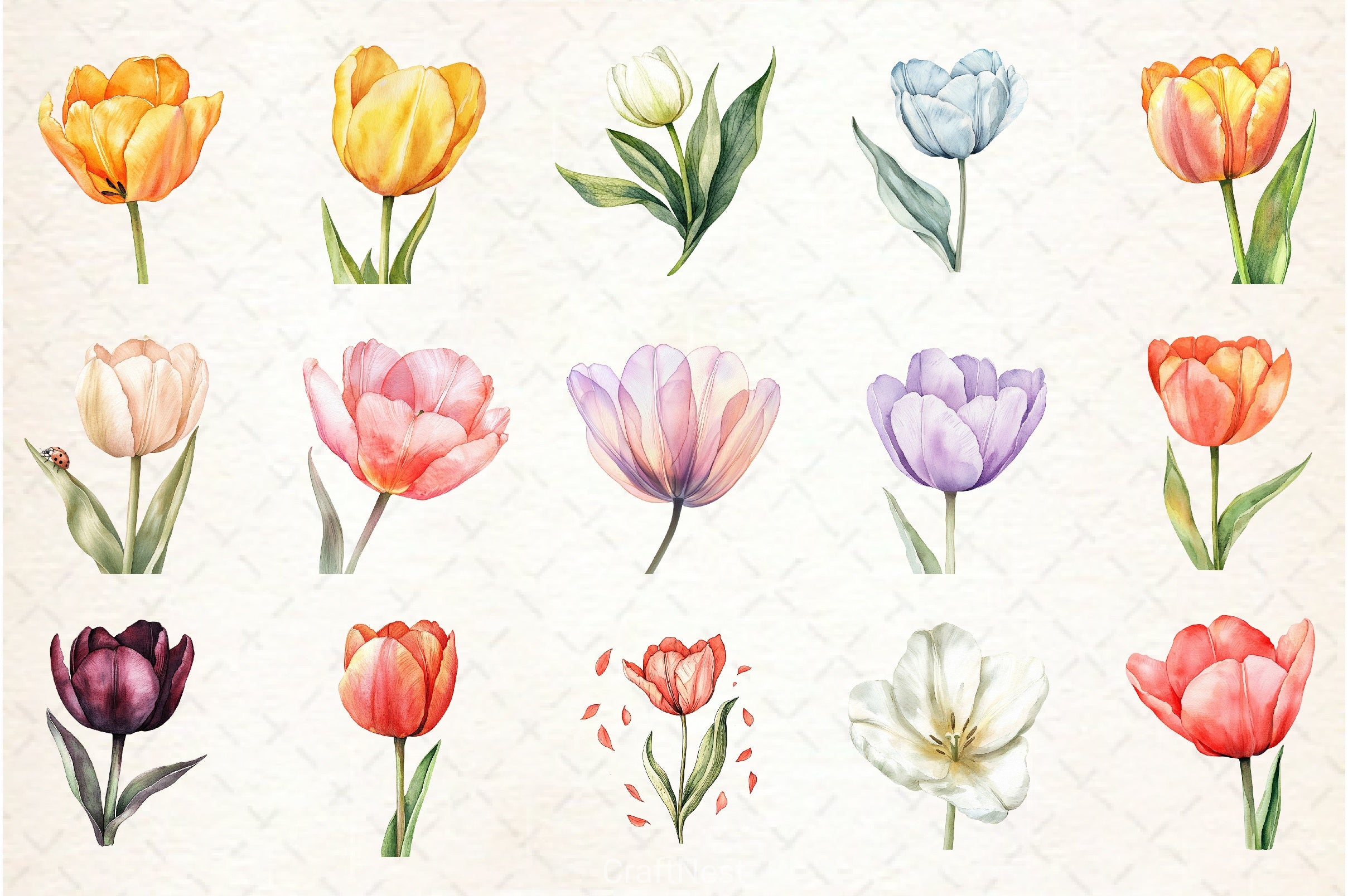 Tulip Flower Clipart Bundle - CraftNest - Digital Crafting and Art
