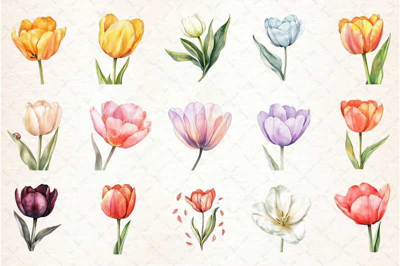 Tulip Flower Clipart Bundle - CraftNest - Digital Crafting and Art