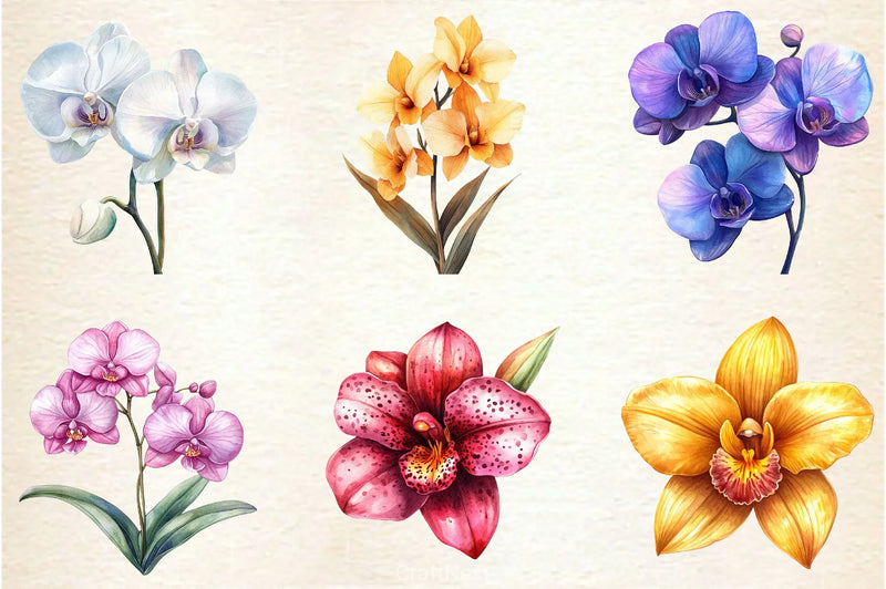 Orchid Clipart Bundle 2 - CraftNest - Digital Crafting and Art
