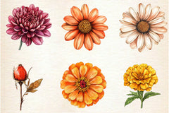 Autumn Wildflowers Clipart Bundle 2 - CraftNest - Digital Crafting and Art