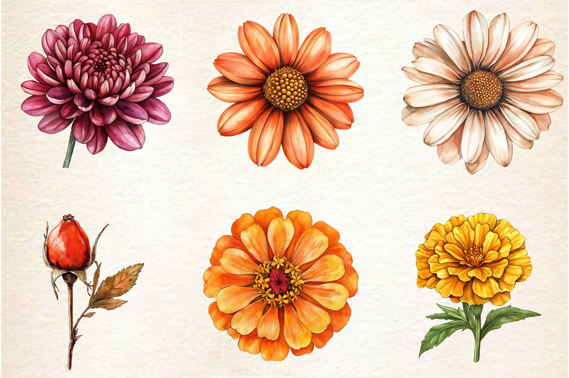 Autumn Wildflowers Clipart Bundle 2 - CraftNest - Digital Crafting and Art