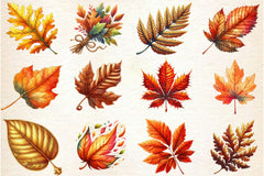 Fall Leaves Clipart Bundle - CraftNest - Digital Crafting and Art