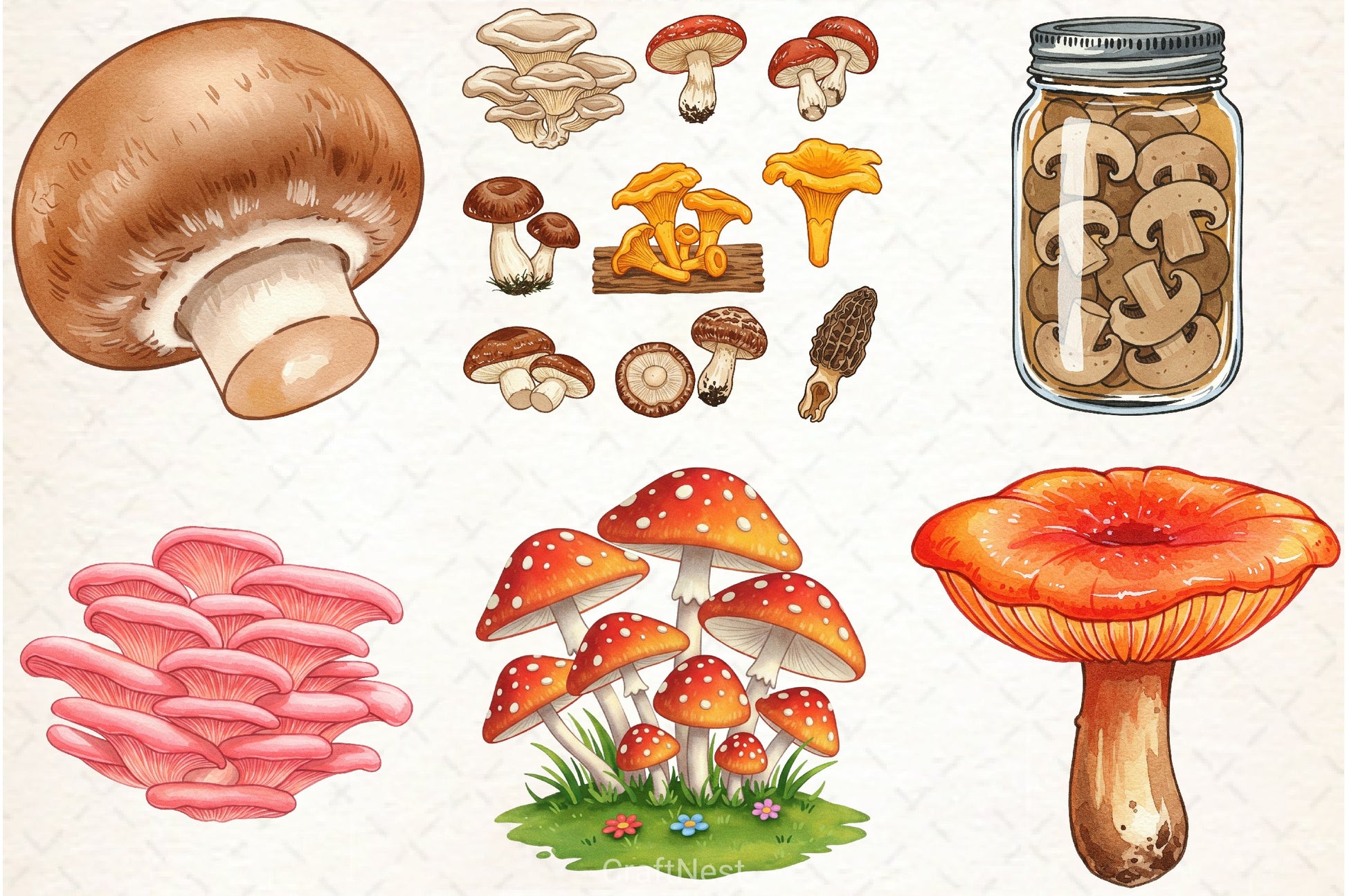 Edible Mushrooms Clipart Bundle - CraftNest - Digital Crafting and Art