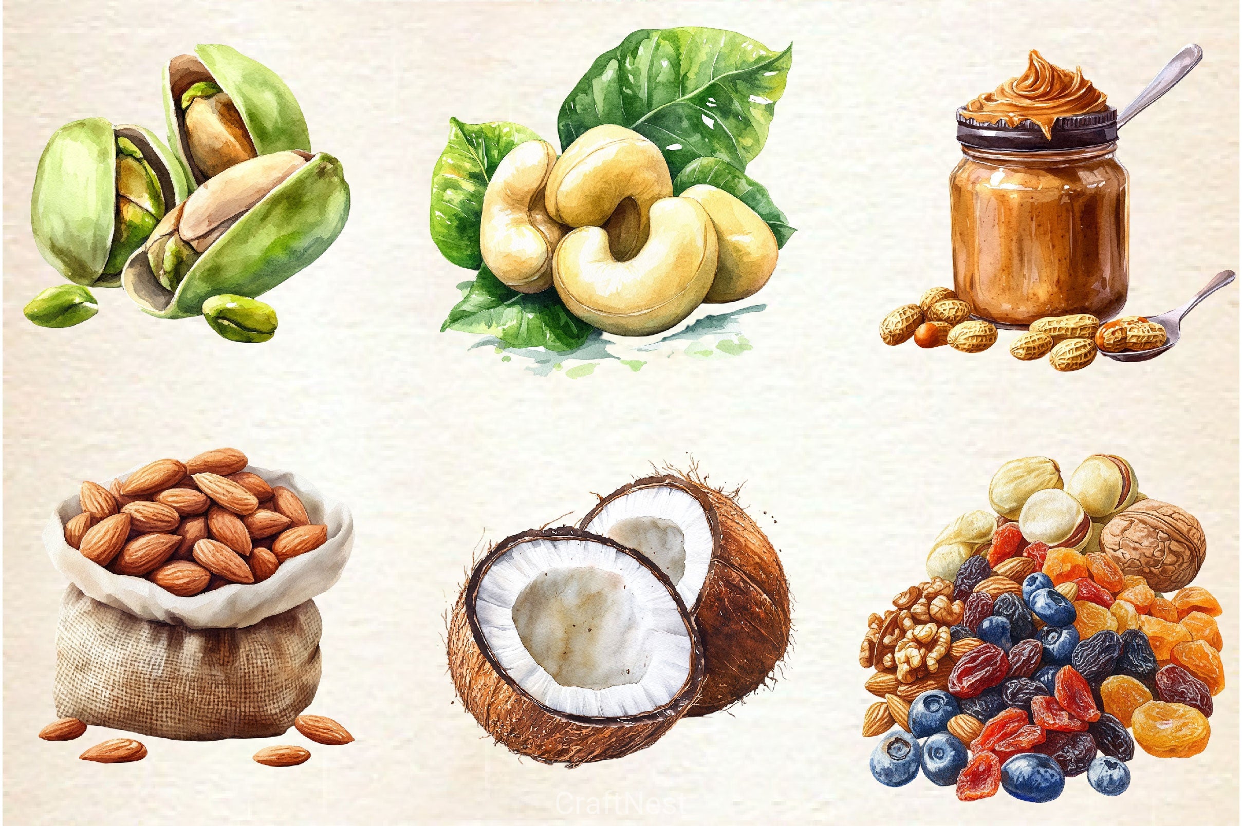 Nuts Clipart Bundle 2 - CraftNest - Digital Crafting and Art
