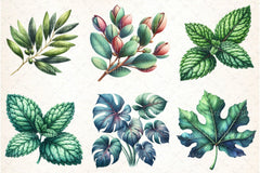 Green Summer Foliage Clipart Bundle 3 - CraftNest - Digital Crafting and Art