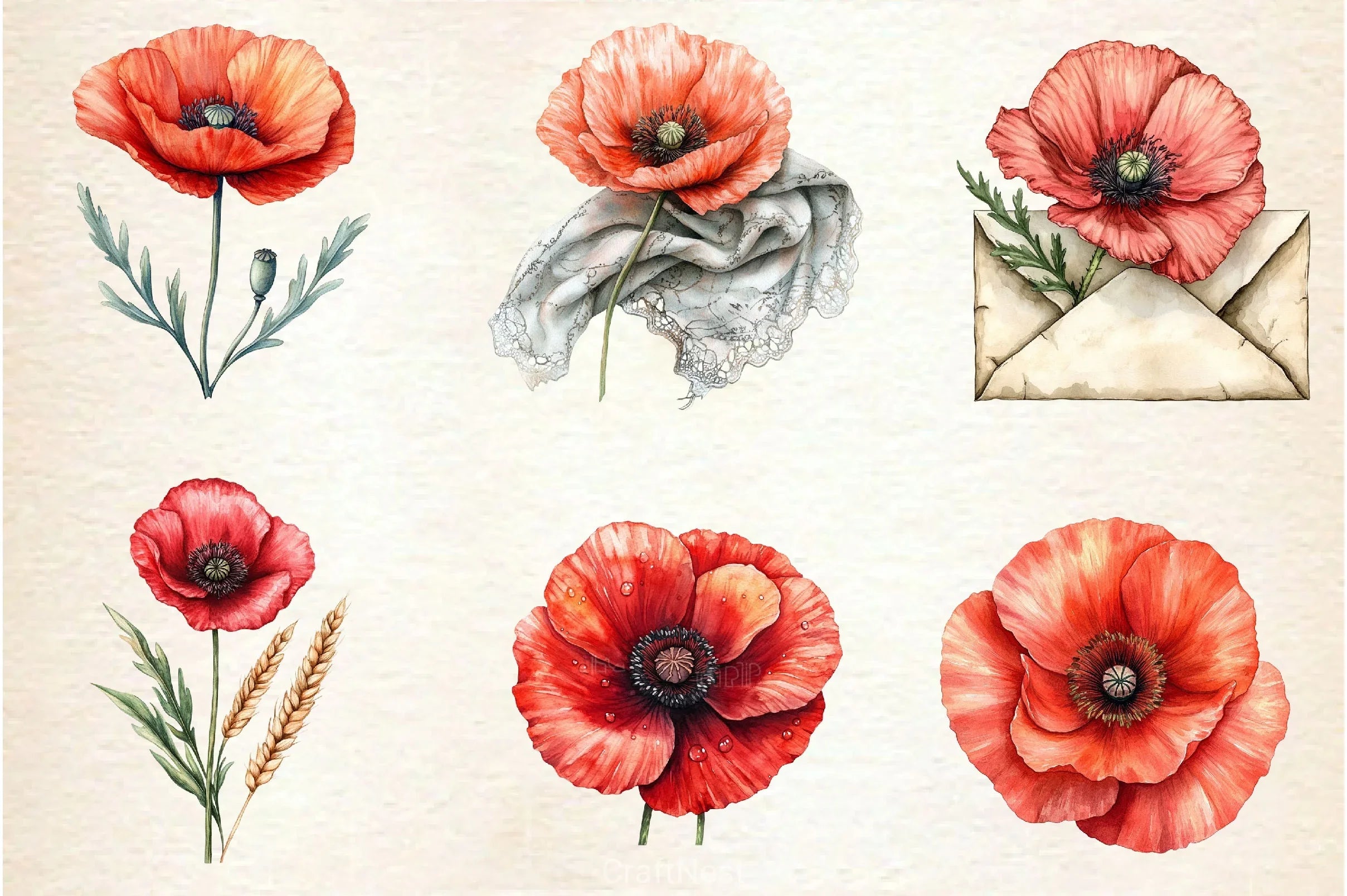 Corn Poppy Flower Bloom Clipart Bundle 2 - CraftNest - Digital Crafting and Art
