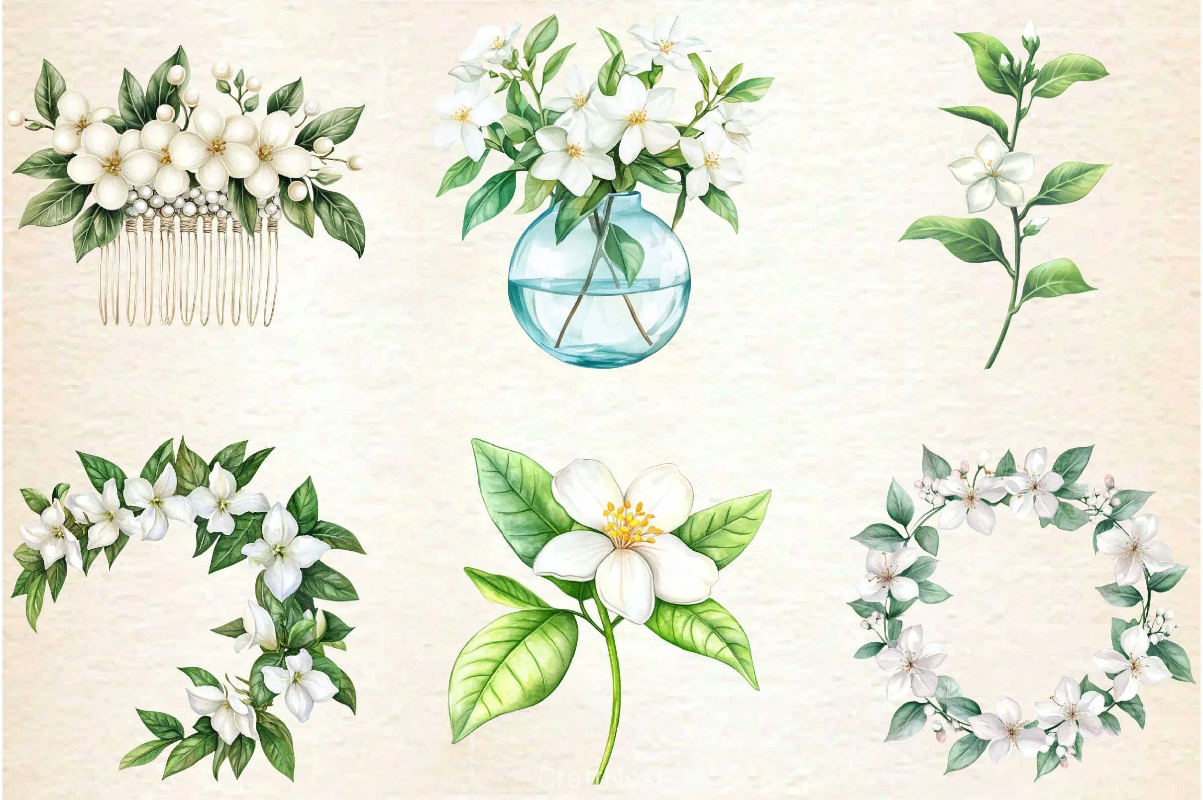 Spring Jasmine Flower Clipart Bundle 5 - CraftNest - Digital Crafting and Art