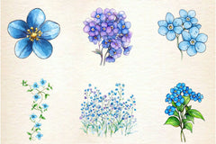 Forget Me Not Flower Bloom Clipart Bundle - CraftNest - Digital Crafting and Art
