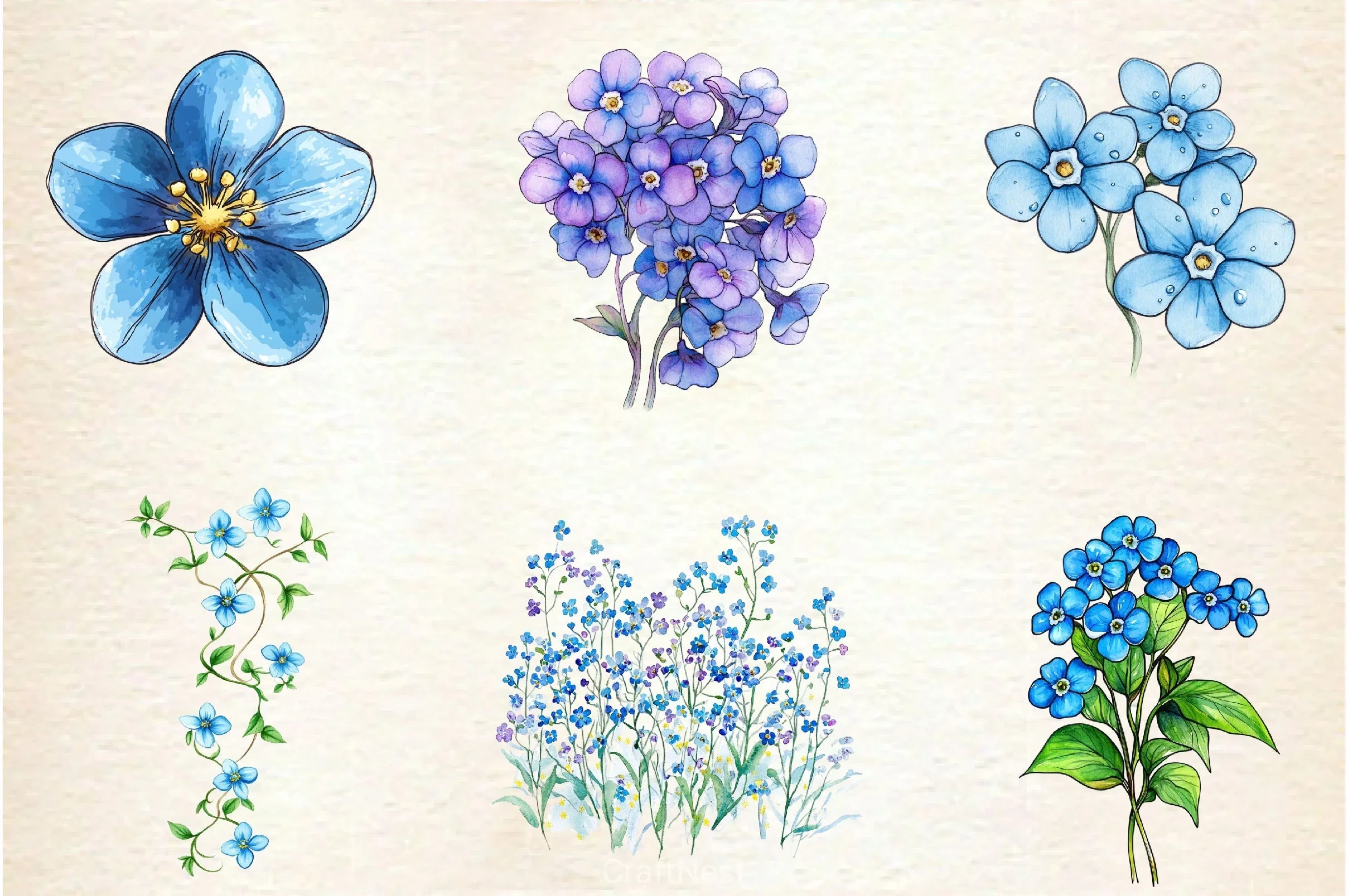 Forget Me Not Flower Bloom Clipart Bundle - CraftNest - Digital Crafting and Art