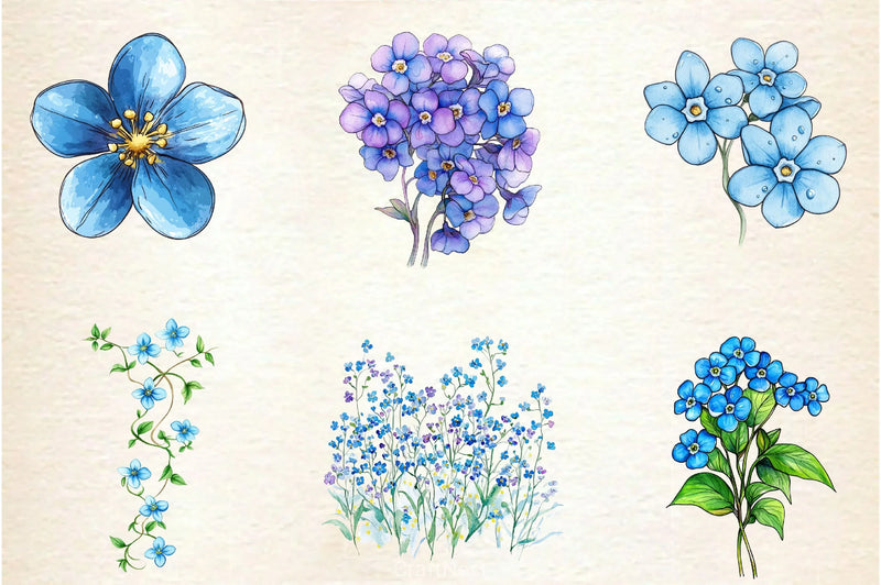 Forget Me Not Flower Bloom Clipart Bundle - CraftNest - Digital Crafting and Art