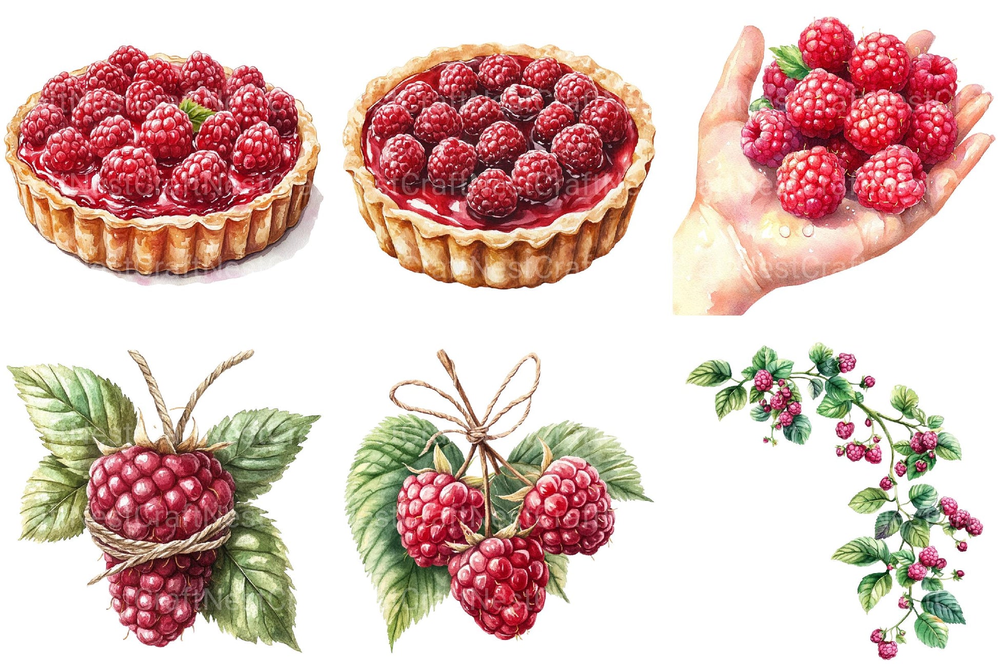 Raspberry Clipart - CraftNest - Digital Crafting and Art