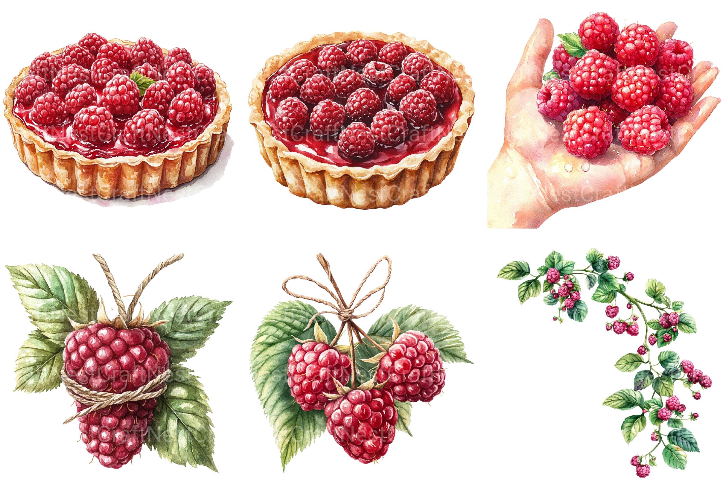 Raspberry Clipart - CraftNest - Digital Crafting and Art