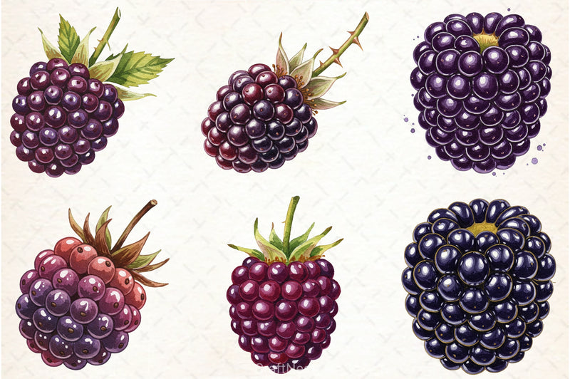 Blackberry Clipart Bundle 2 - CraftNest - Digital Crafting and Art