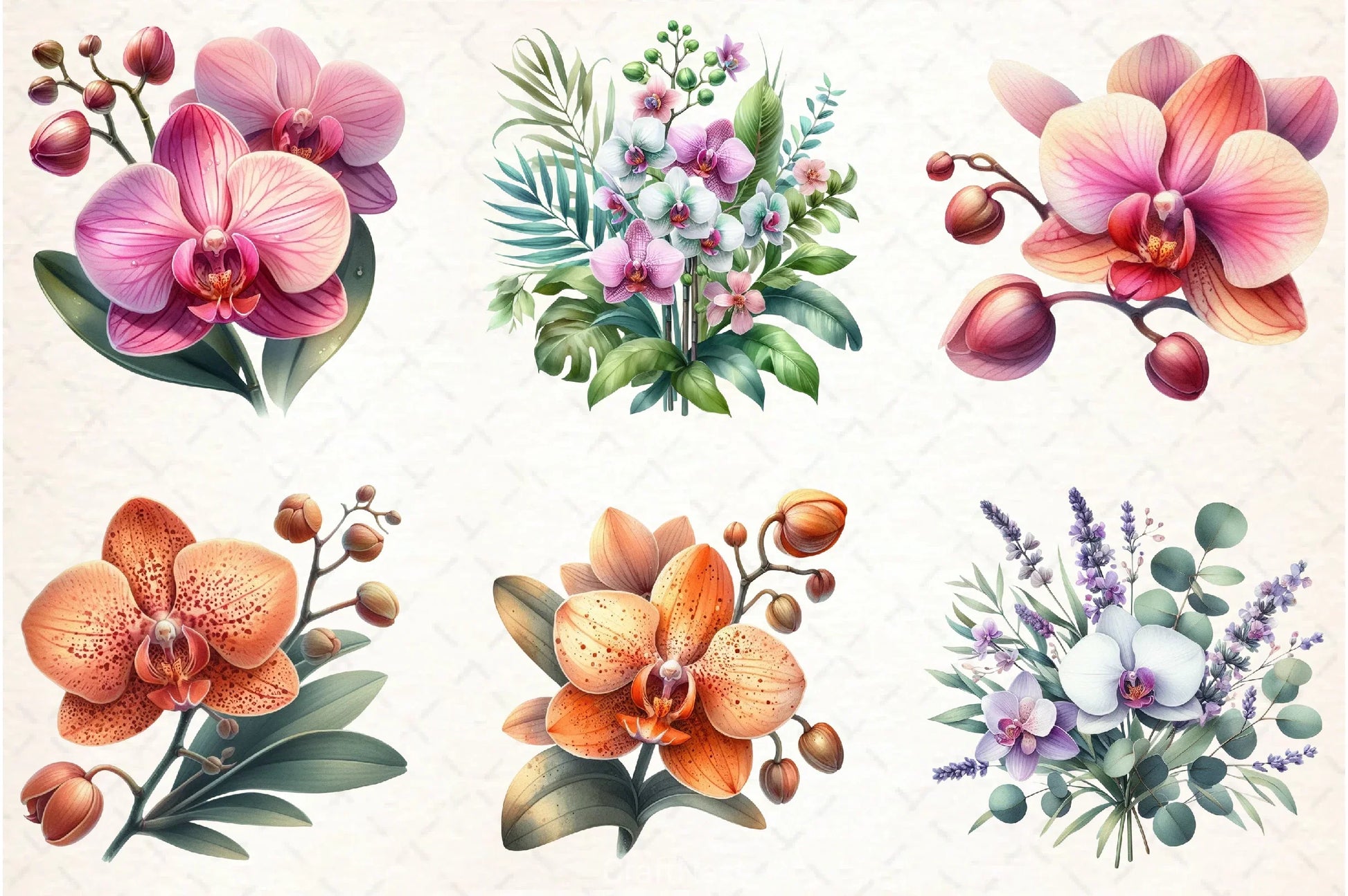 Orchid Clipart Bundle 4 - CraftNest - Digital Crafting and Art