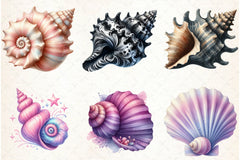Ocean Sea Shell Clipart Bundle - CraftNest - Digital Crafting and Art