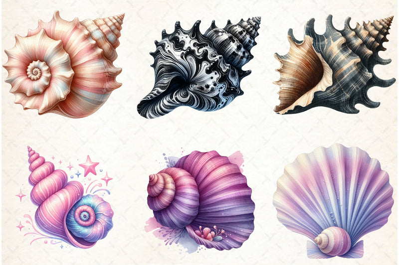 Ocean Sea Shell Clipart Bundle - CraftNest - Digital Crafting and Art
