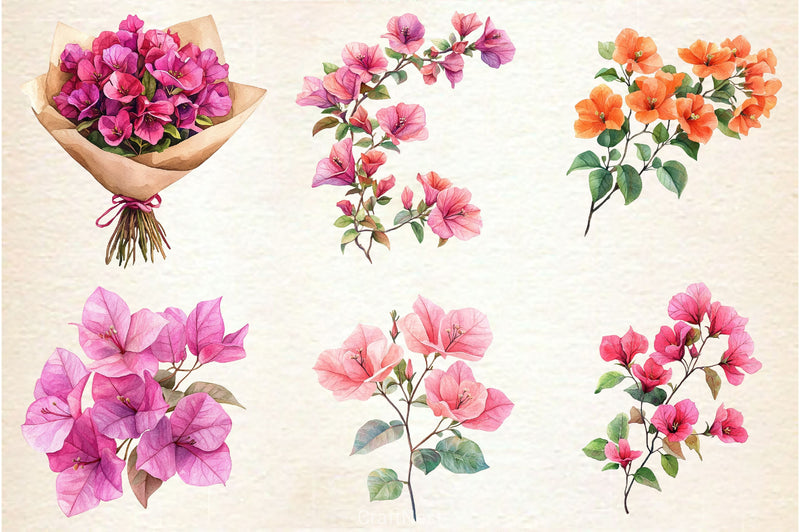 Bougainvillea Flower Clipart Bundle 4 - CraftNest - Digital Crafting and Art