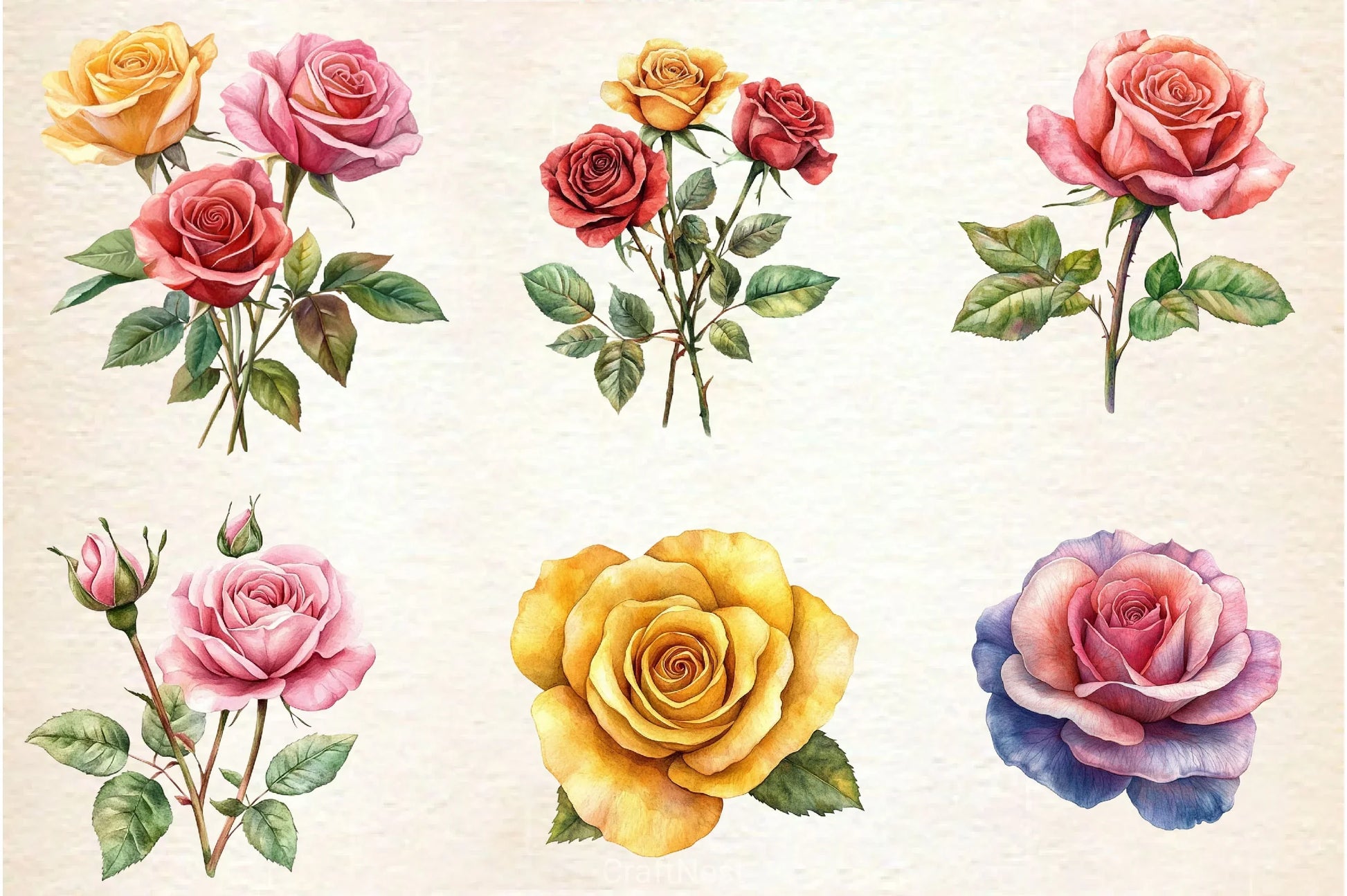 Summer Lithograph Roses Clipart Bundle - CraftNest - Digital Crafting and Art
