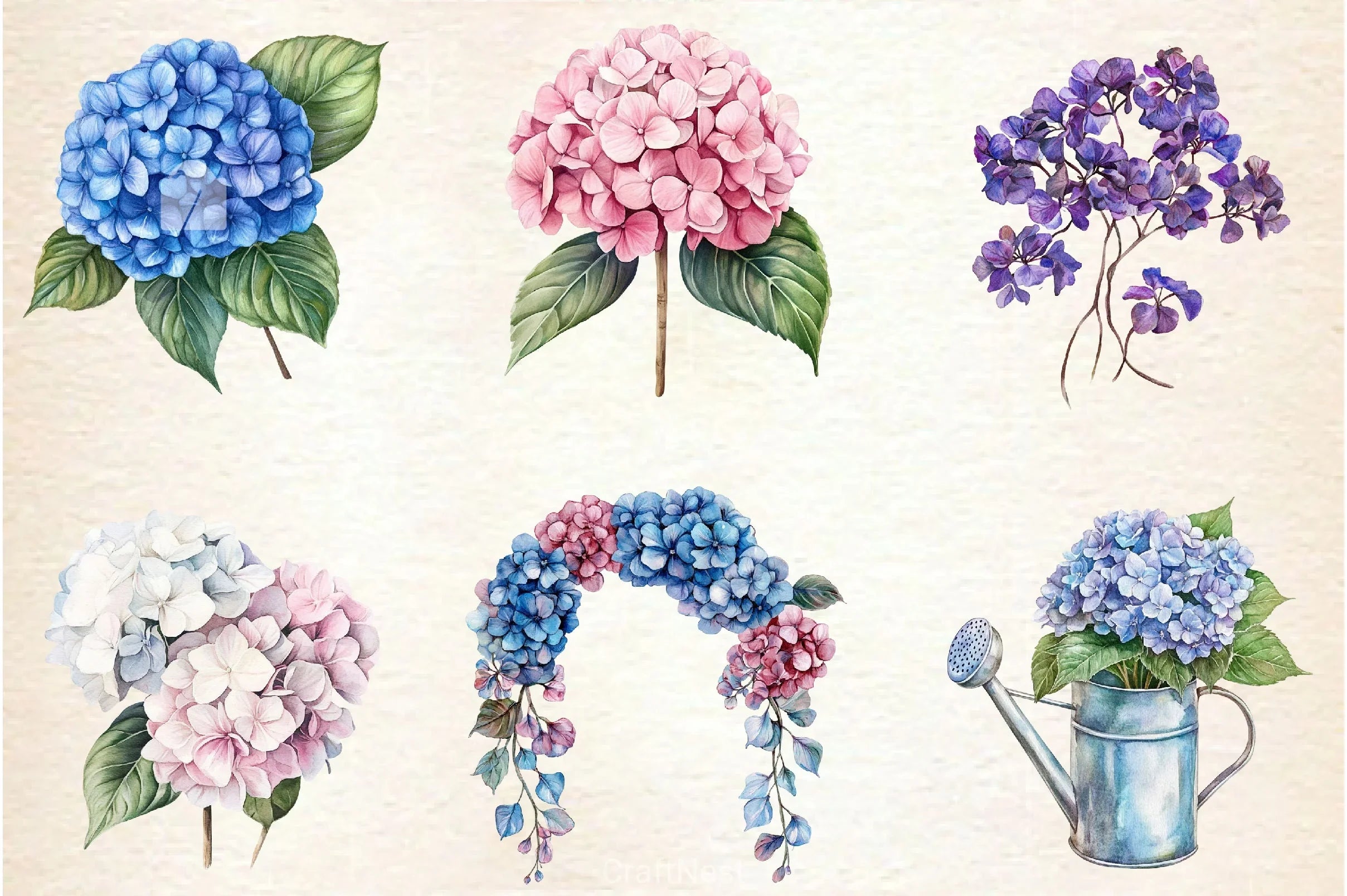 Hydrangea Clipart Bundle 2 - CraftNest - Digital Crafting and Art