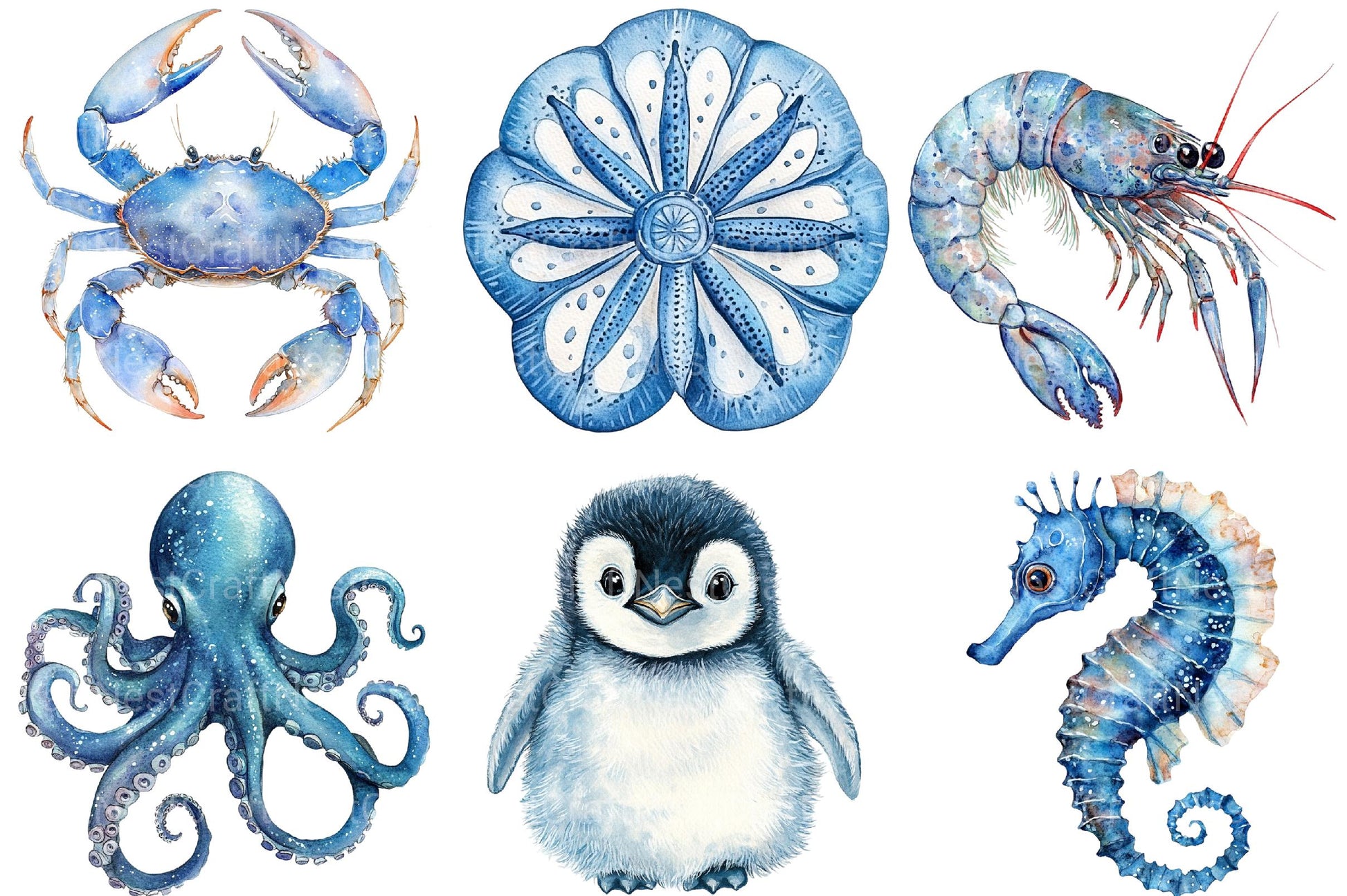 Blue Ocean Animals Clipart - CraftNest - Digital Crafting and Art