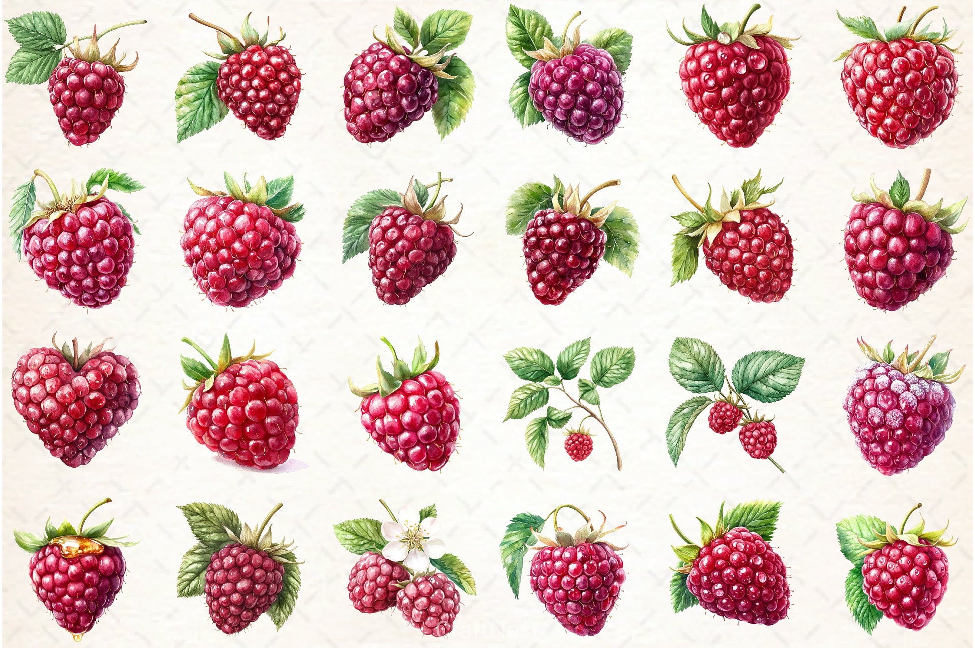 Raspberry Clipart Bundle 52 - CraftNest - Digital Crafting and Art