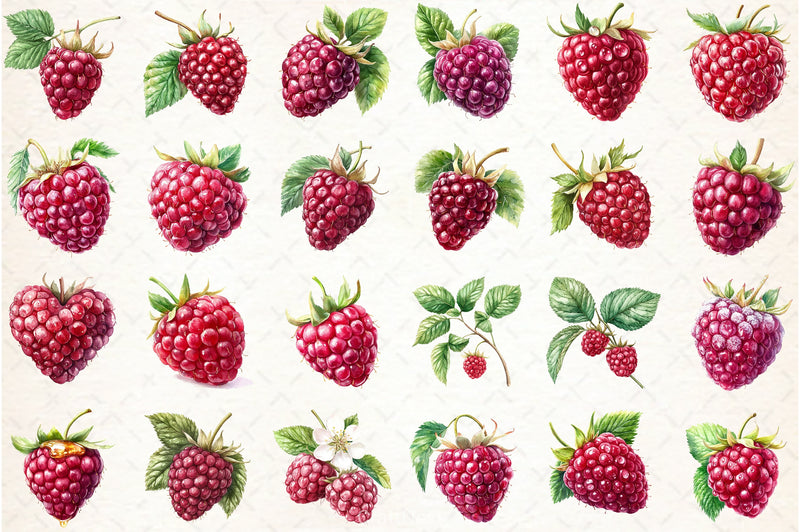 Raspberry Clipart Bundle 52 - CraftNest - Digital Crafting and Art