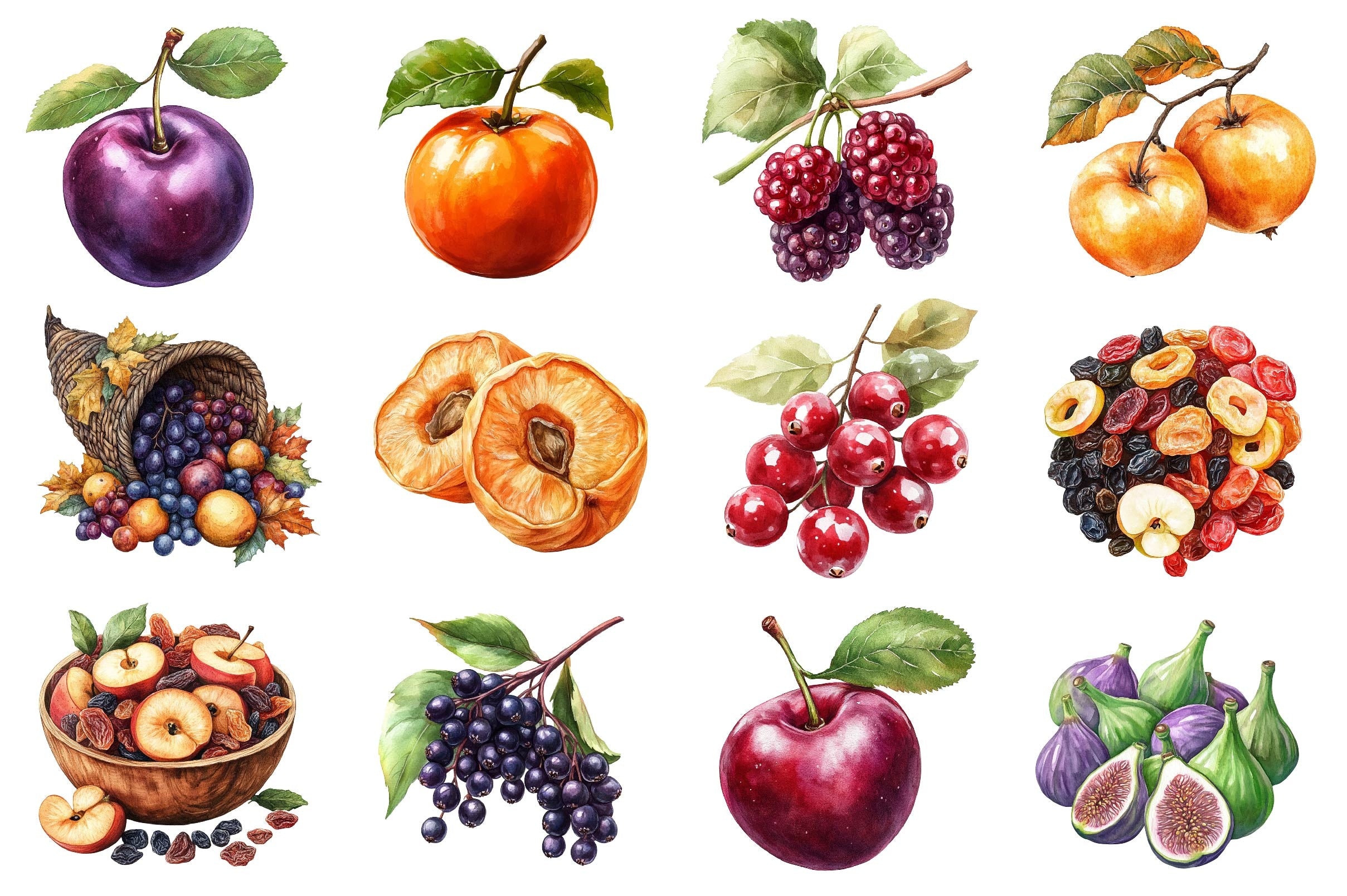 Autumn Fruits Clipart Bundle 5 - CraftNest - Digital Crafting and Art