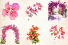 Bougainvillea Flower Clipart Bundle 3 - CraftNest - Digital Crafting and Art