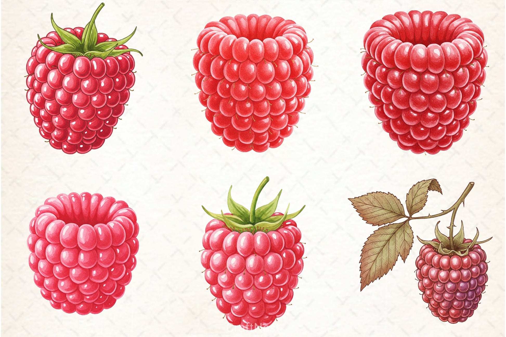 Raspberry Clipart Bundle 1 - CraftNest - Digital Crafting and Art