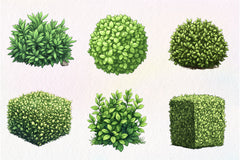 Bushes Clipart Bundle - CraftNest - Digital Crafting and Art