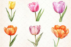 Tulip Clipart Bundle - CraftNest - Digital Crafting and Art