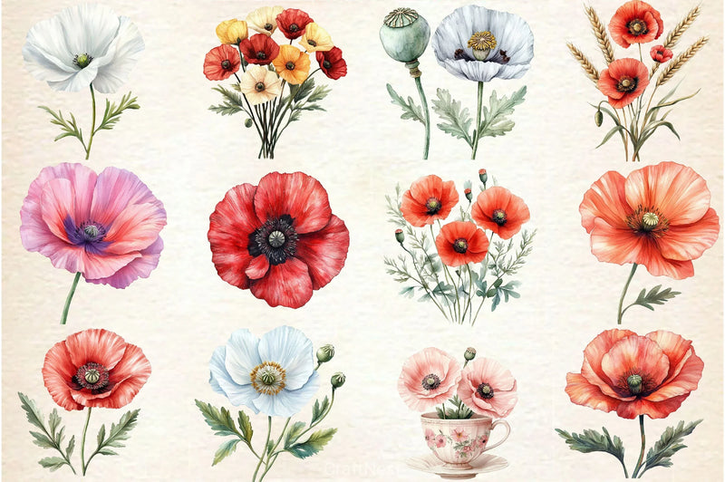 Poppy Flower Clipart Bundle 4 - CraftNest - Digital Crafting and Art