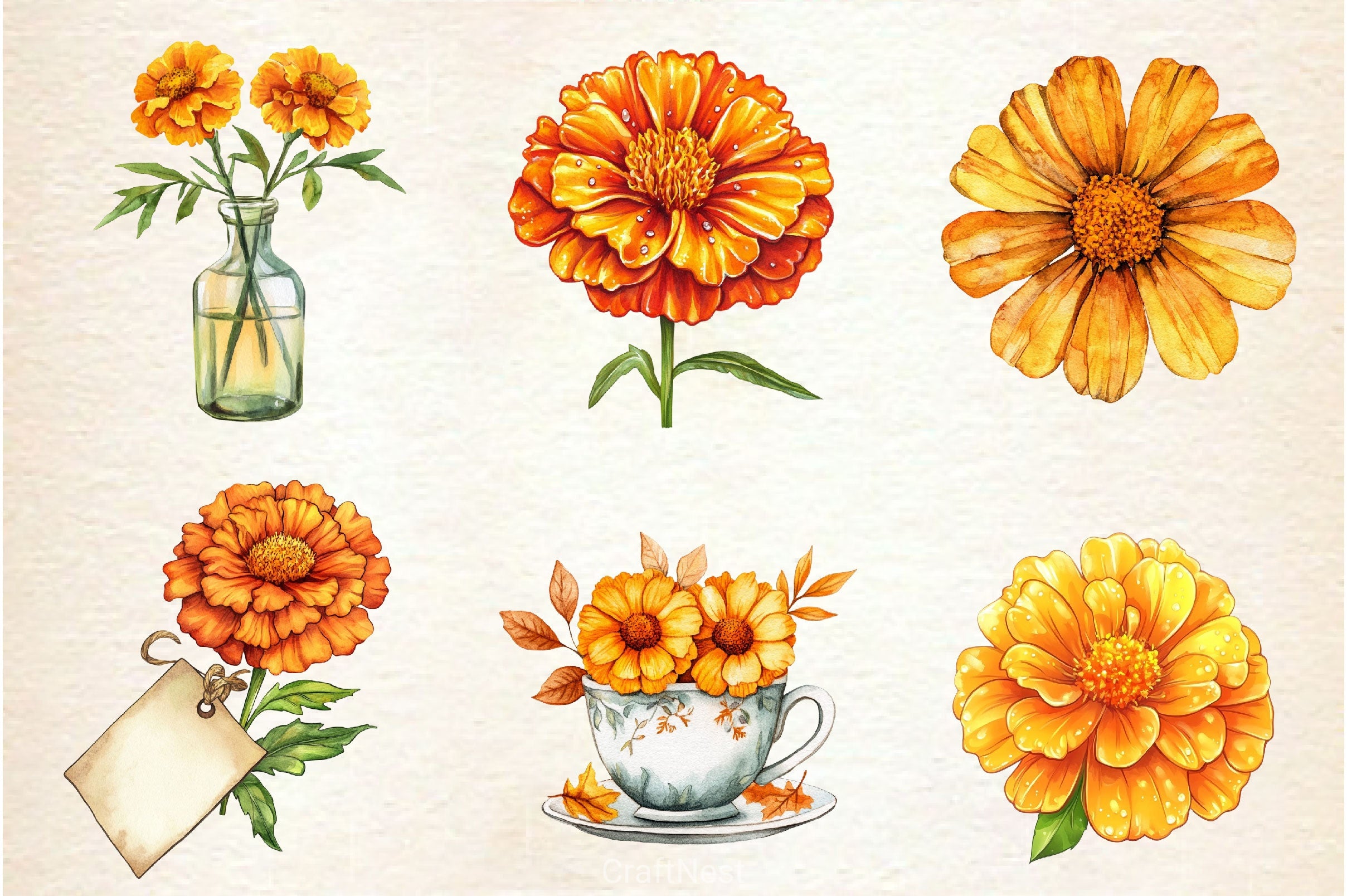 Fall Marigold Clipart Bundle 2 - CraftNest - Digital Crafting and Art