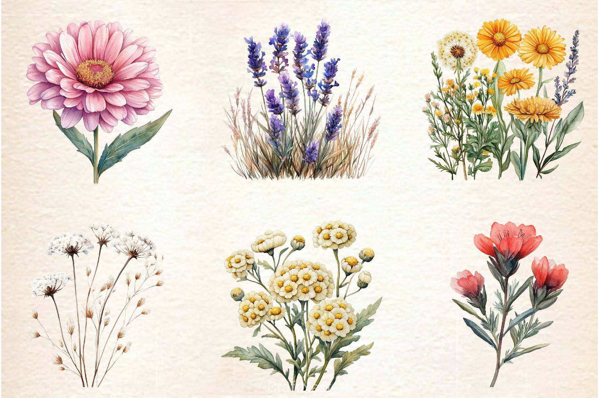 Autumn Wildflowers Clipart Bundle 9 - CraftNest - Digital Crafting and Art