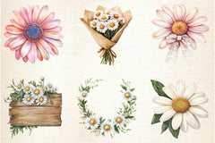 Daisies Flowers Clipart Bundle - CraftNest - Digital Crafting and Art