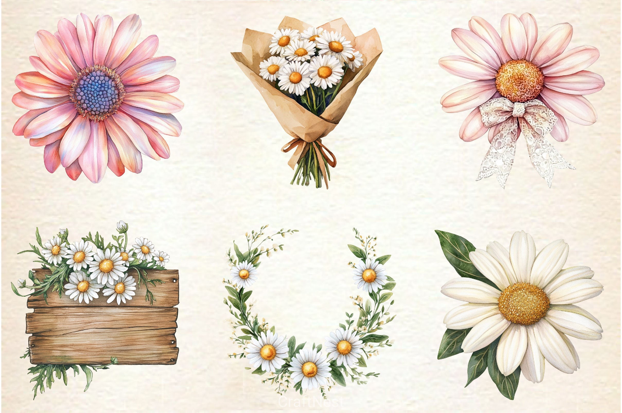 Daisies Flowers Clipart Bundle - CraftNest - Digital Crafting and Art