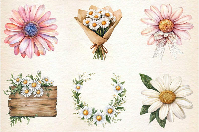 Daisies Flowers Clipart Bundle - CraftNest - Digital Crafting and Art