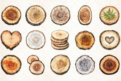 Wood Slice Clipart Bundle - CraftNest - Digital Crafting and Art
