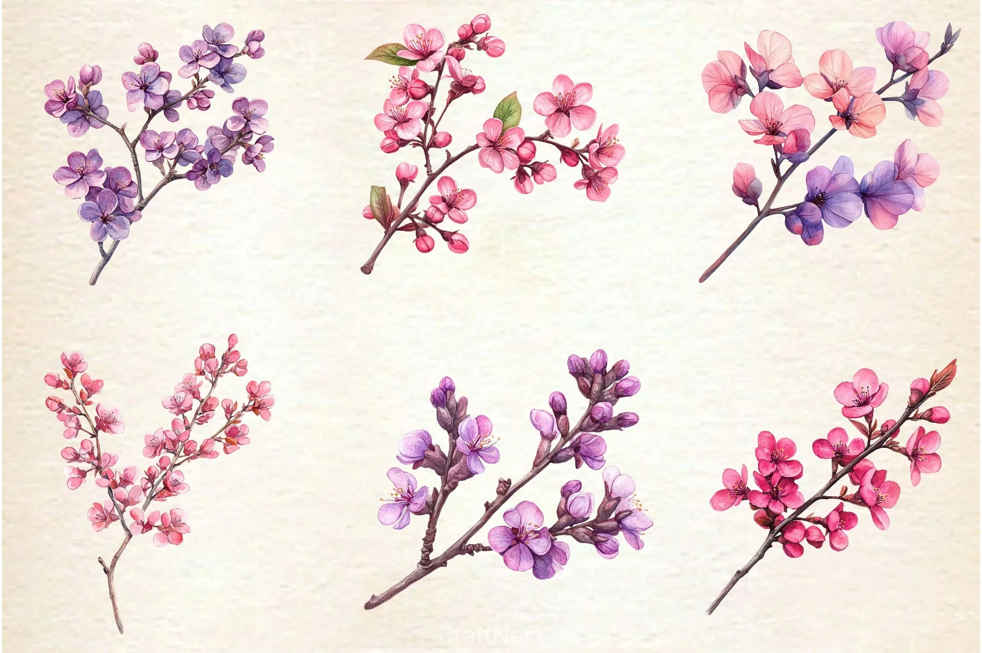 Spring Redbud Flower Clipart Bundle 2 - CraftNest - Digital Crafting and Art