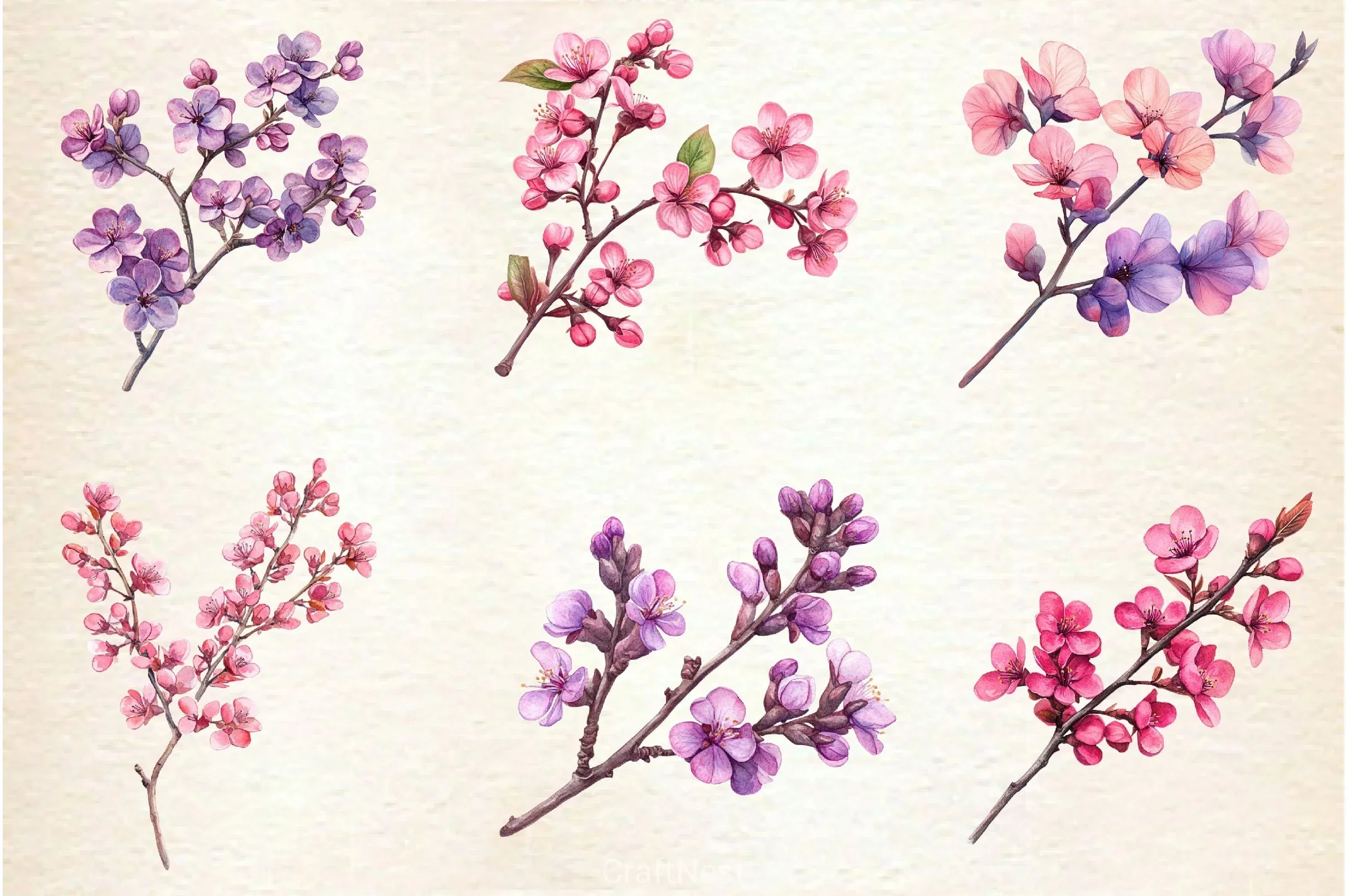 Spring Redbud Flower Clipart Bundle 2 - CraftNest - Digital Crafting and Art