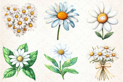 Daisy Clipart Bundle 1 - CraftNest - Digital Crafting and Art
