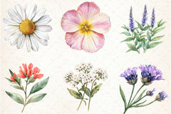 Wild Flower Clipart Bundle - CraftNest - Digital Crafting and Art