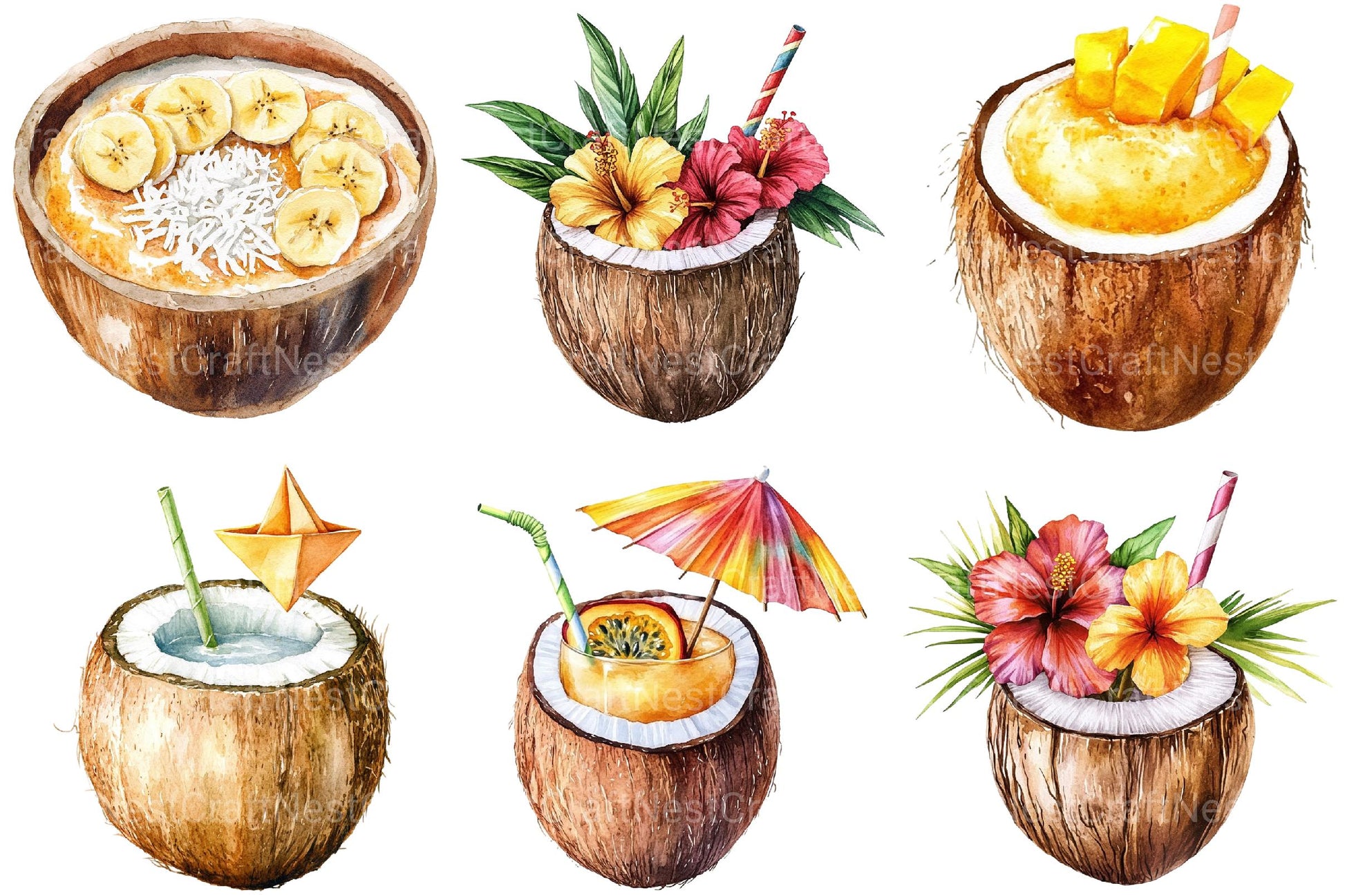 Coconut Drink Clipart - CraftNest - Digital Crafting and Art
