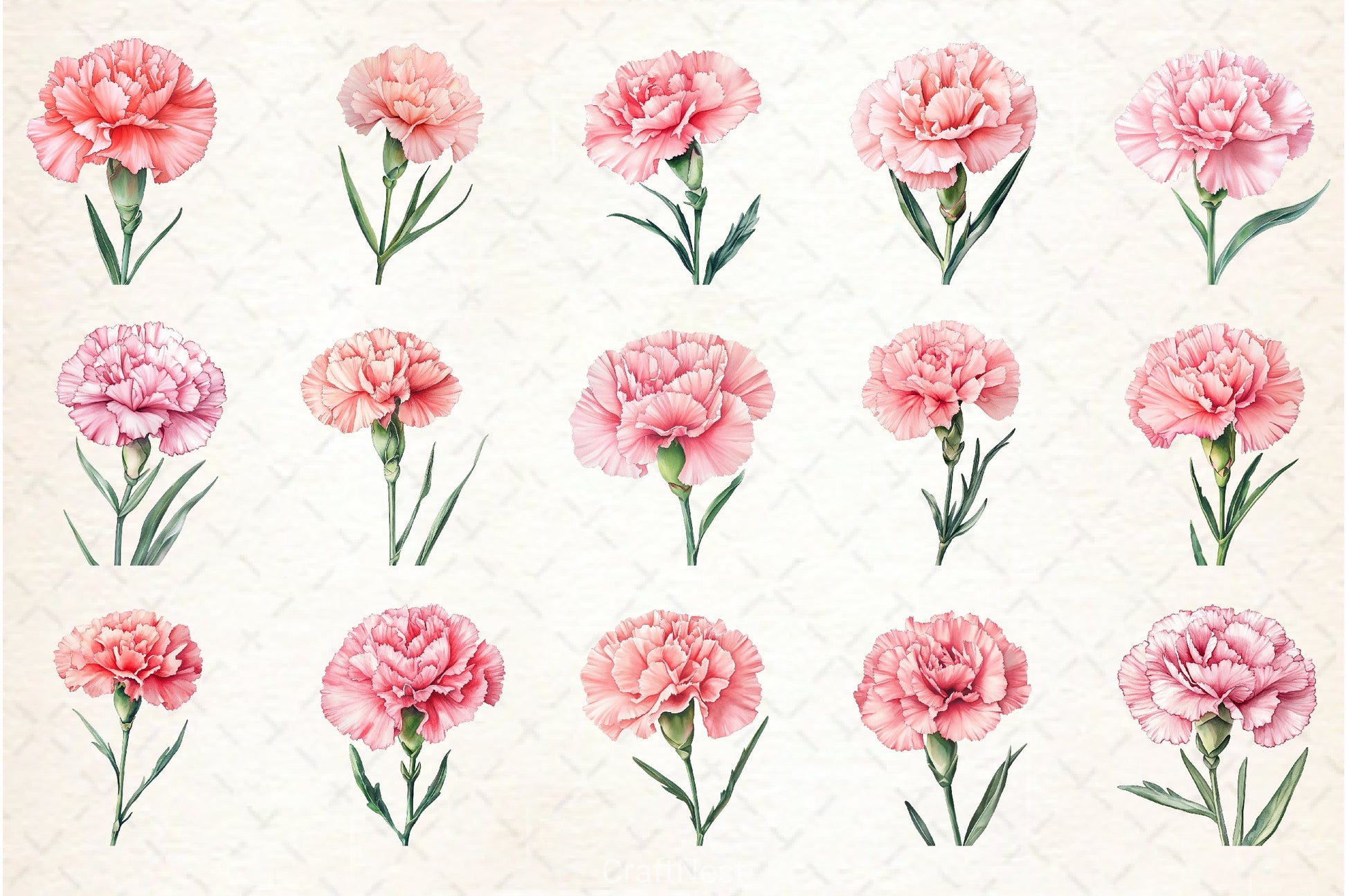Carnation Flower Clipart Bundle - CraftNest - Digital Crafting and Art