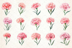 Carnation Flower Clipart Bundle - CraftNest - Digital Crafting and Art