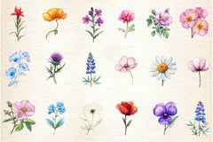 Single Wildflower Clipart Bundle - CraftNest - Digital Crafting and Art