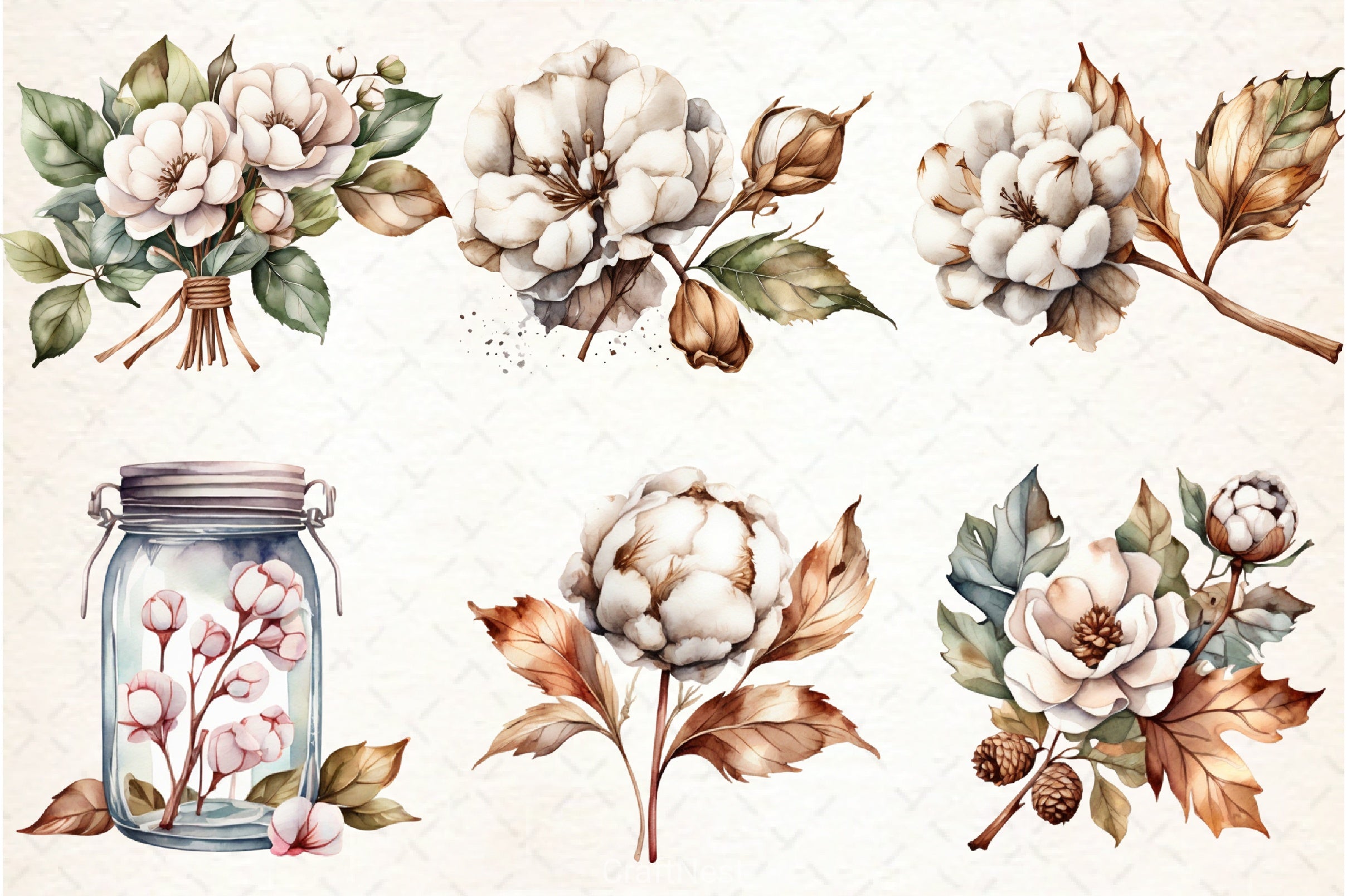 Cotton Flower Clipart Bundle - CraftNest - Digital Crafting and Art