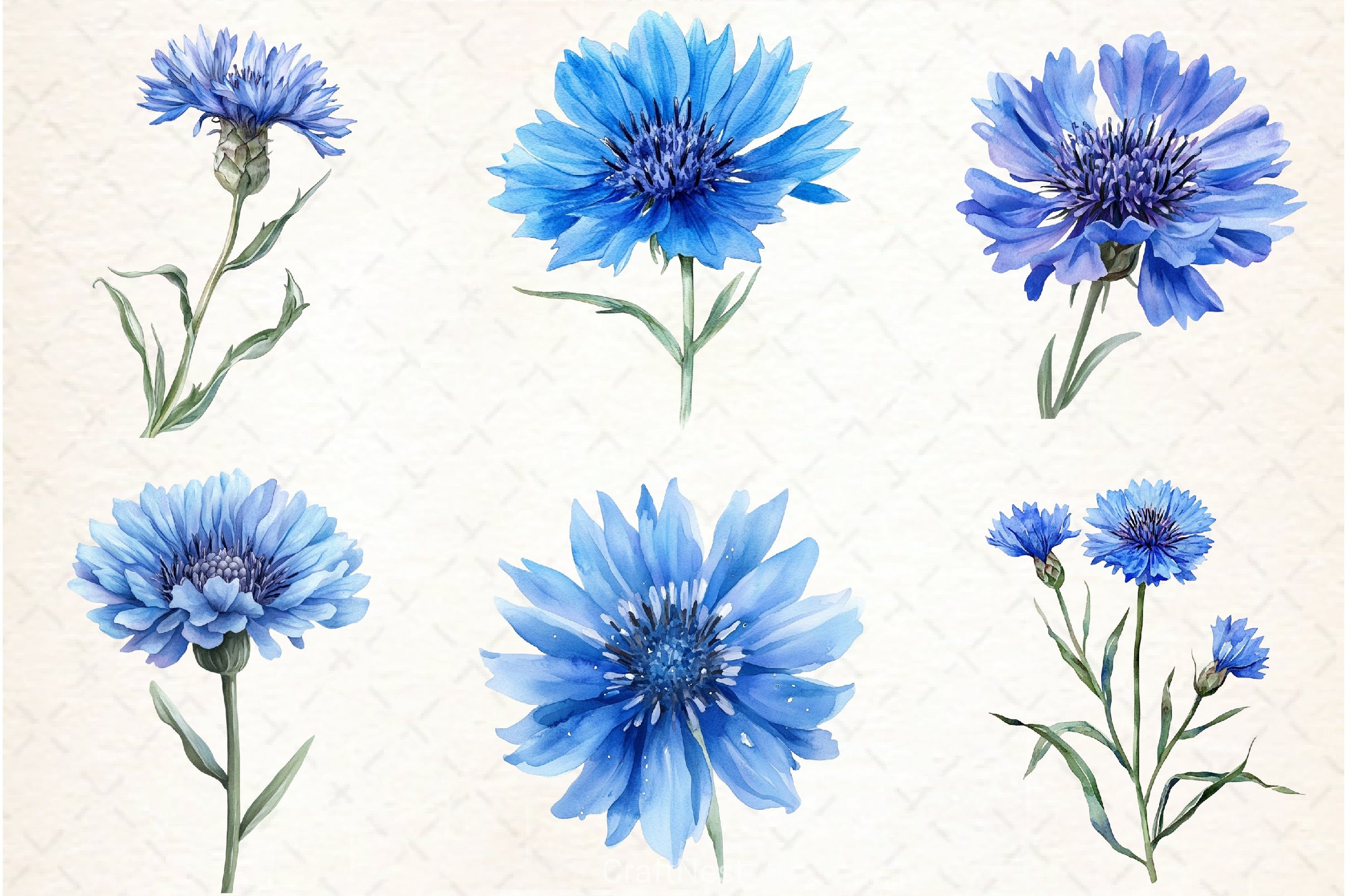 Blue Cornflower Clipart Bundle - CraftNest - Digital Crafting and Art