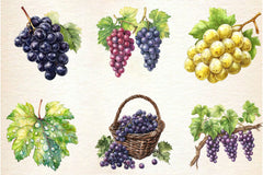 Grape Clipart Bundle 2 - CraftNest - Digital Crafting and Art