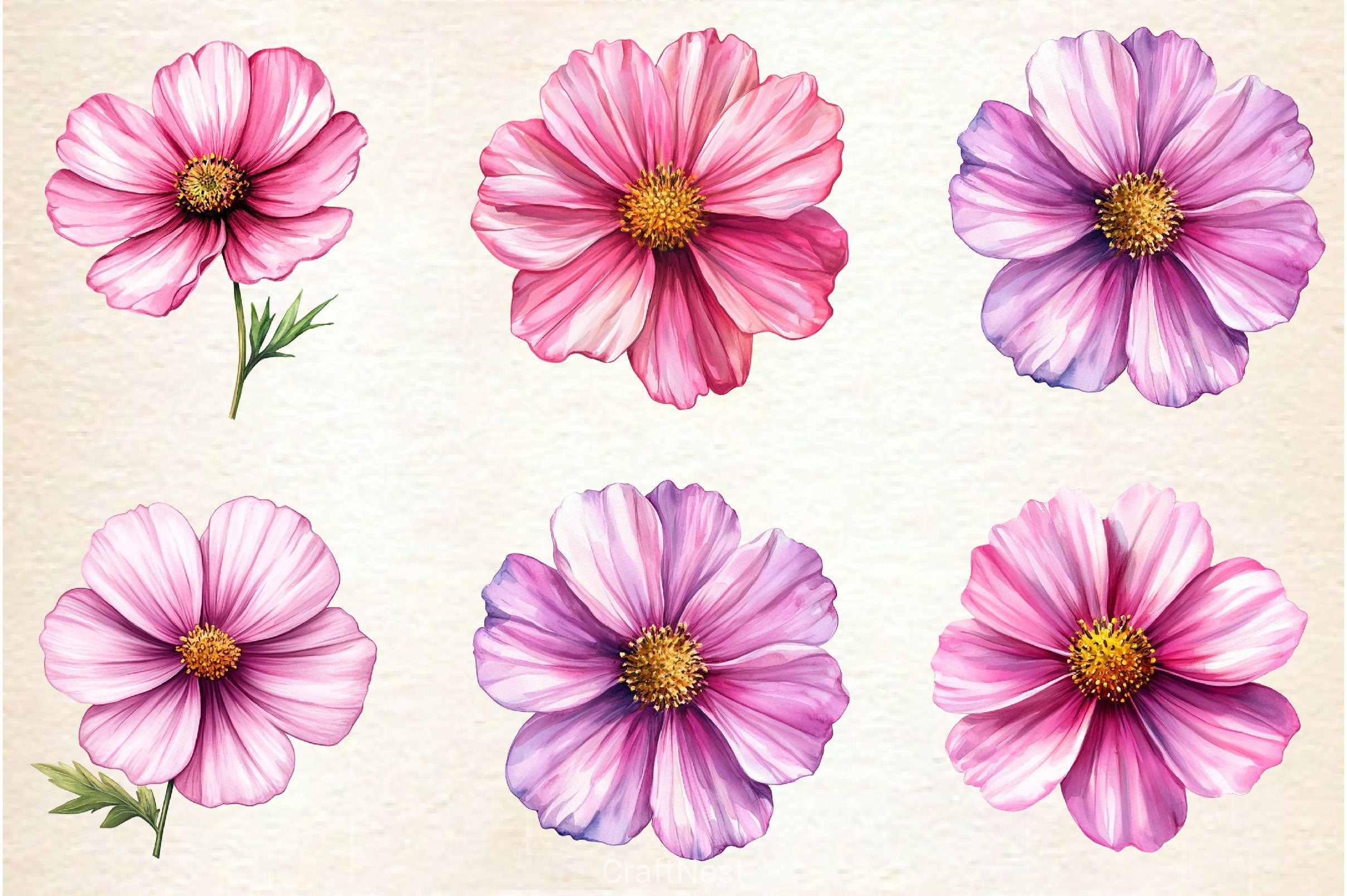 Pink Cosmos Flower Clipart Bundle - CraftNest - Digital Crafting and Art
